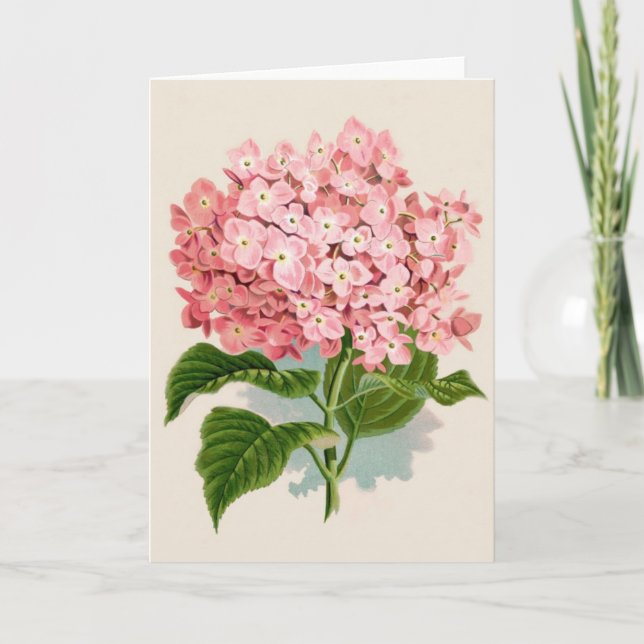 Cartão Hortênsia Rosa Vintage (Frente)