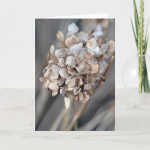 Cartão Hortênsia Seca Fotografia da Natureza em Branco