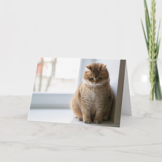 Cartão Hosico pensava (Frente)