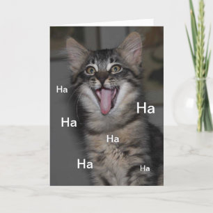 Cartão Hospital Gatinho Cáspio, Receba Bem Em Breve