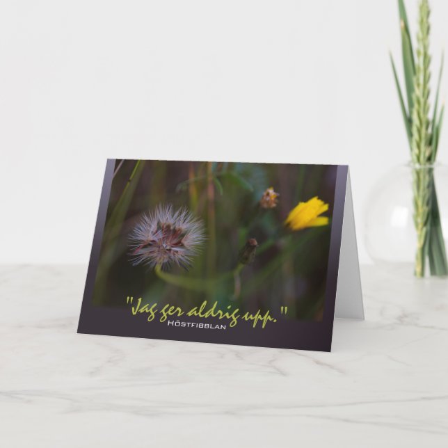 Cartão Höstfibblan Jag ger aldrig upp CC0780 (Frente)