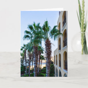 Cartão Hotel Malta E Palmeiras