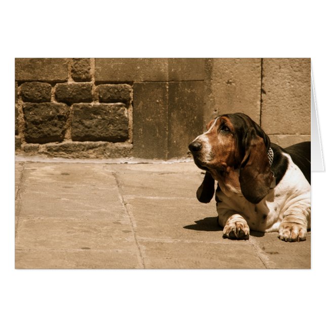 Cartão Hound Basset (Frente Horizontal)