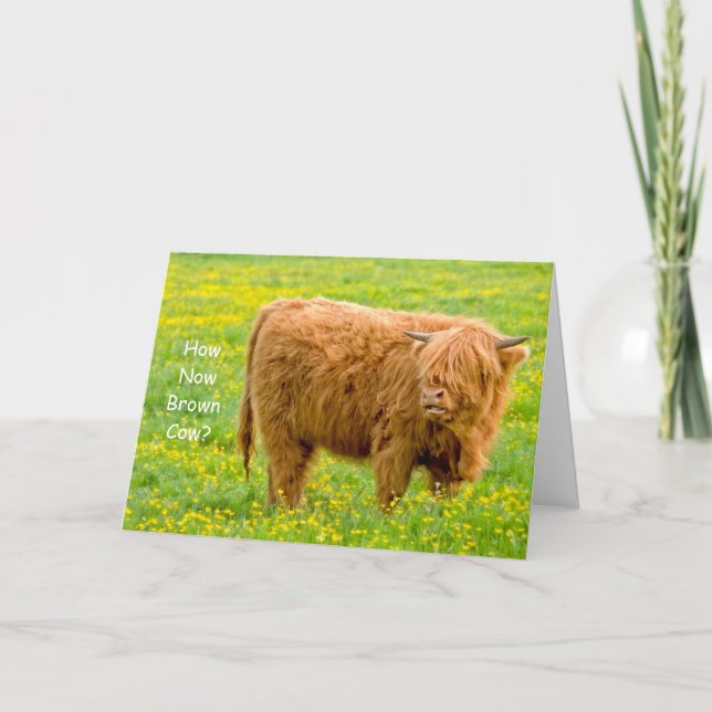 Cartão How Now Brown Cow? Birthday Card (Frente)