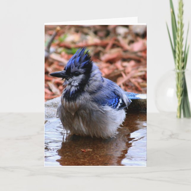 Cartão How was your day Card (Frente)
