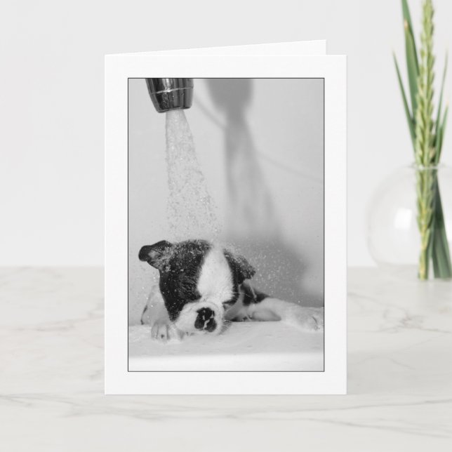 Cartão Howie in the Bath (Frente)