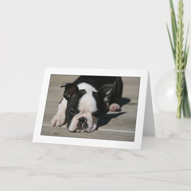 Cartão Howie Pouts (Frente)