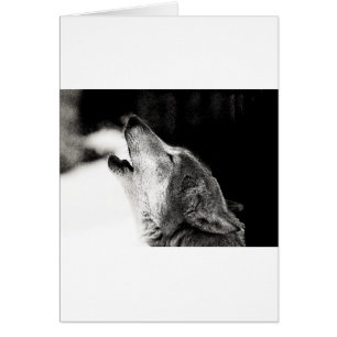 Cartão Howling Wolf