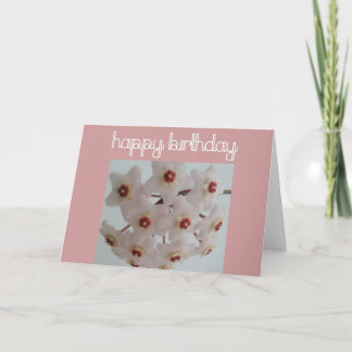 Cartão Hoya Flower Birthday