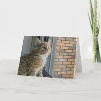 Cartão Huey olha para o mundo