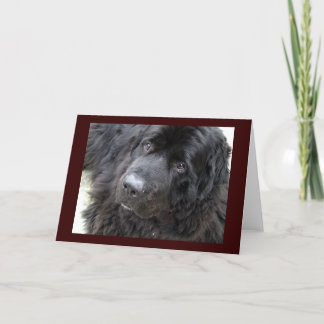 Cartão hugo de olhos castanhos