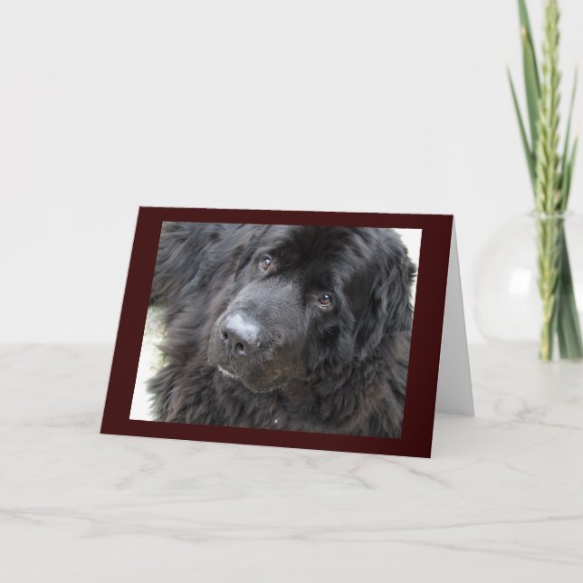 Cartão hugo de olhos castanhos (Frente)