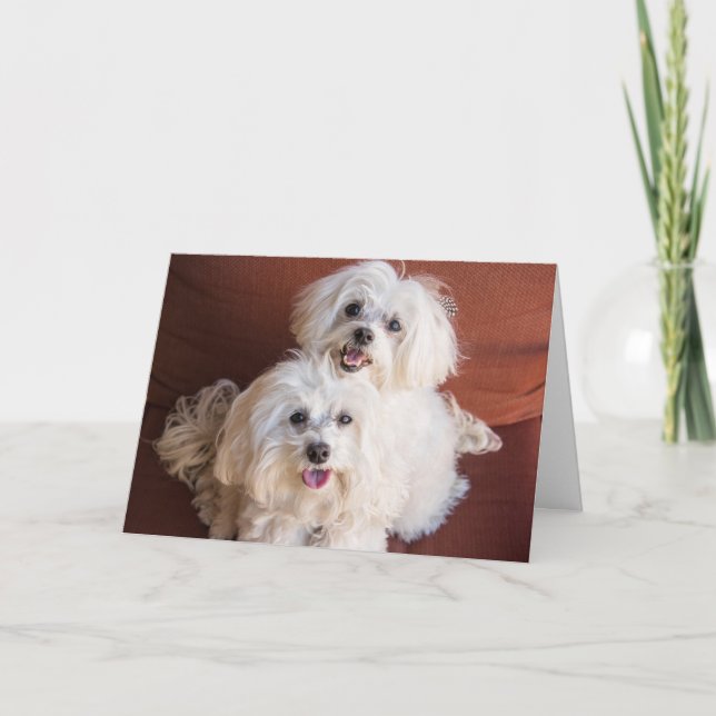 Cartão Hugs Card (Frente)