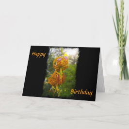 Cartão Humboldt Lily Sunburst Aniversário
