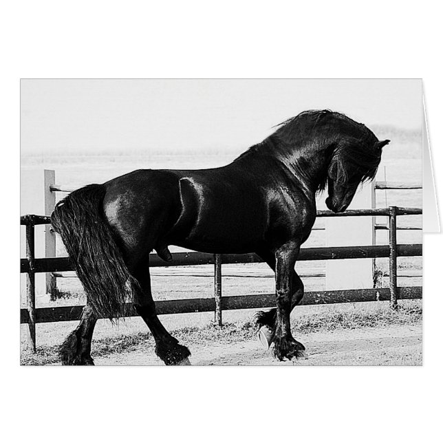 Cartão Humilde (Frente Horizontal)