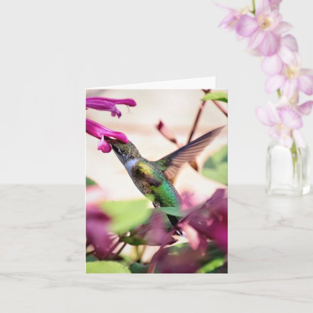 Cartão Humming Along Note Card (Orquídea)