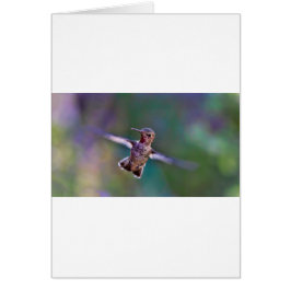Cartão Hummingbird