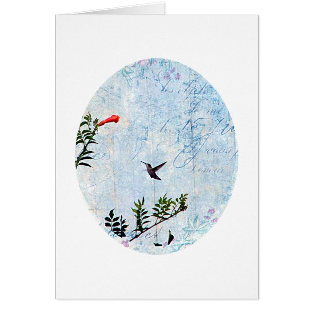 Cartão Hummingbird (Frente)