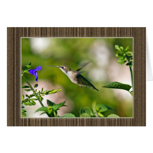 Cartão Hummingbird (Frente Horizontal)