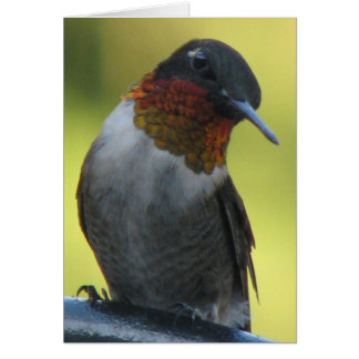 Cartão Hummingbird
