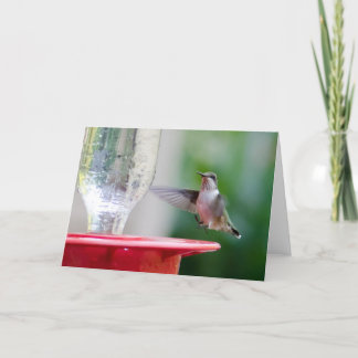 Cartão Hummingbird