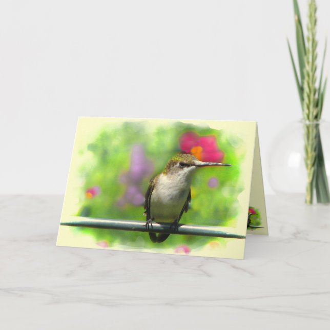 Cartão Hummingbird (Frente)