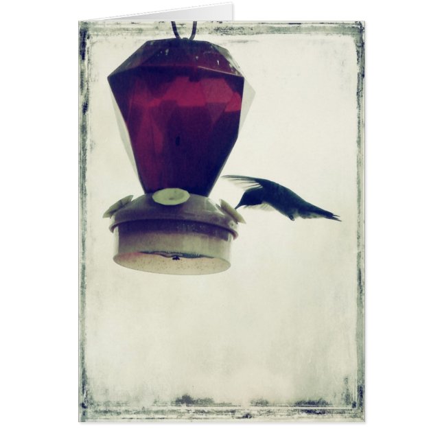 Cartão Hummingbird 2 (Frente)