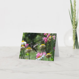 Cartão Hummingbird 4