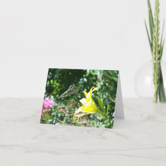 Cartão Hummingbird 5