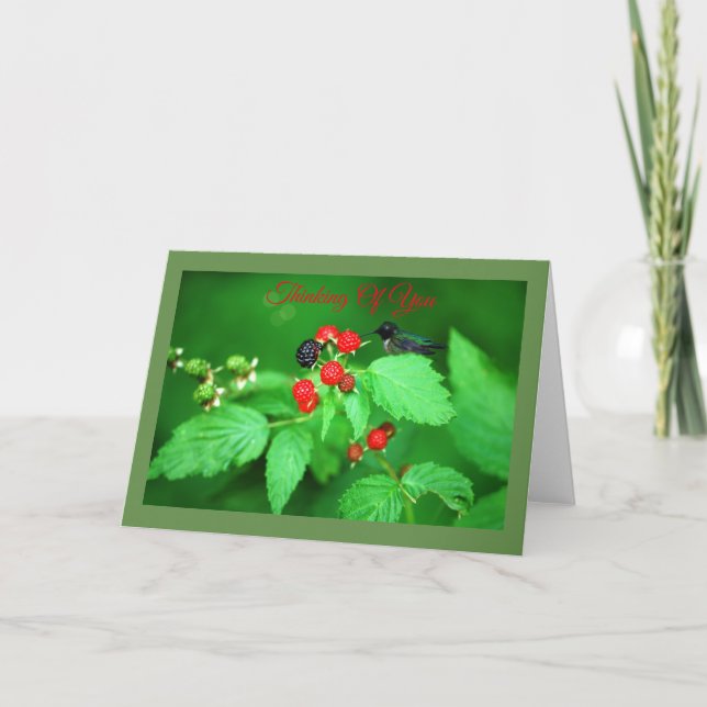 Cartão Hummingbird and Berries Greeting Card (Frente)