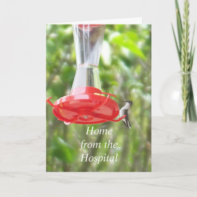 Cartão Hummingbird at Feeder-Home from the Hospital (Frente)