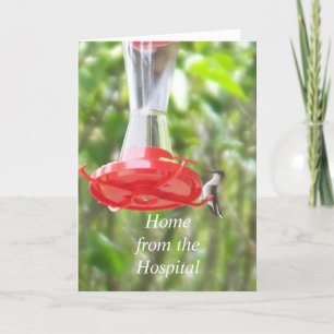 Cartão Hummingbird at Feeder-Home from the Hospital