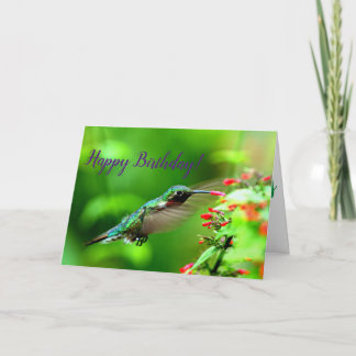 Cartão Hummingbird Birthday