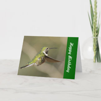 Cartão Hummingbird Birthday Card