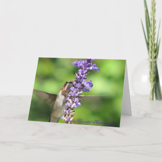 Cartão Hummingbird Card 2 (Frente)