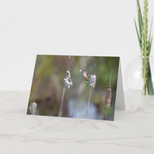 Cartão Hummingbird Coletando Cattail Notecard