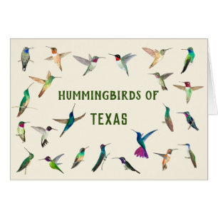 Cartão Hummingbird do Texas
