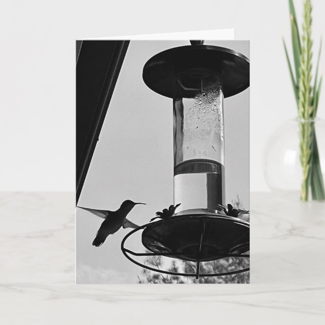 Cartão Hummingbird feeder (Frente)