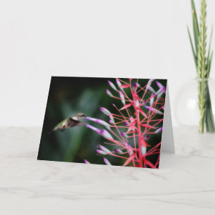 Cartão Hummingbird Greeting Card