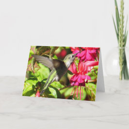 Cartão Hummingbird Greeting Card