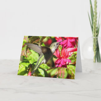 Cartão Hummingbird Greeting Card