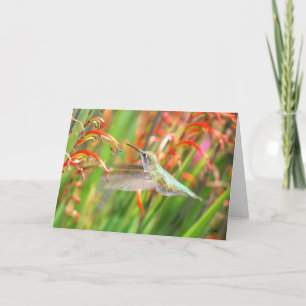 Cartão Hummingbird Greeting Card
