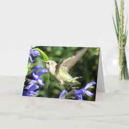 Cartão Hummingbird Greeting Card