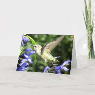 Cartão Hummingbird Greeting Card