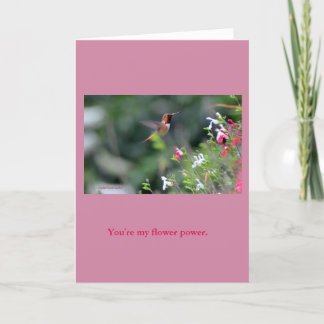 Cartão Hummingbird Greeting card