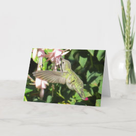 Cartão Hummingbird Greeting Card