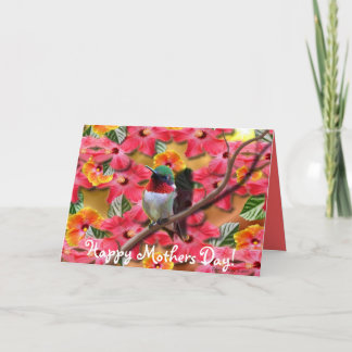 Cartão Hummingbird Haven Happy Mothers Day Card