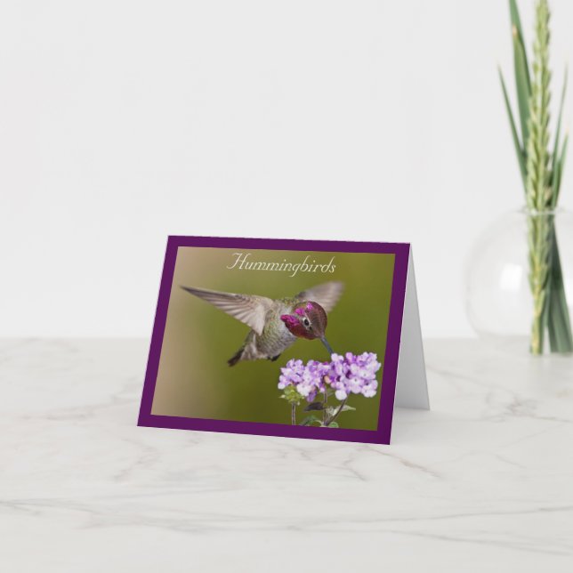 Cartão Hummingbird in Flight Note Card (Frente)