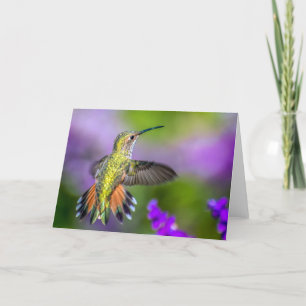 Cartão Hummingbird in Purple Flowers
