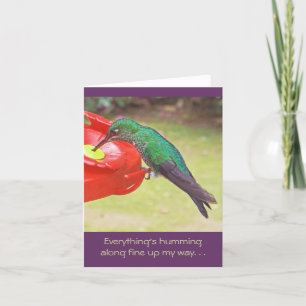 CARTÃO HUMMINGBIRD NA ALIMENTAÇÃO/COISAS ESTÃO SE ENVOLVE